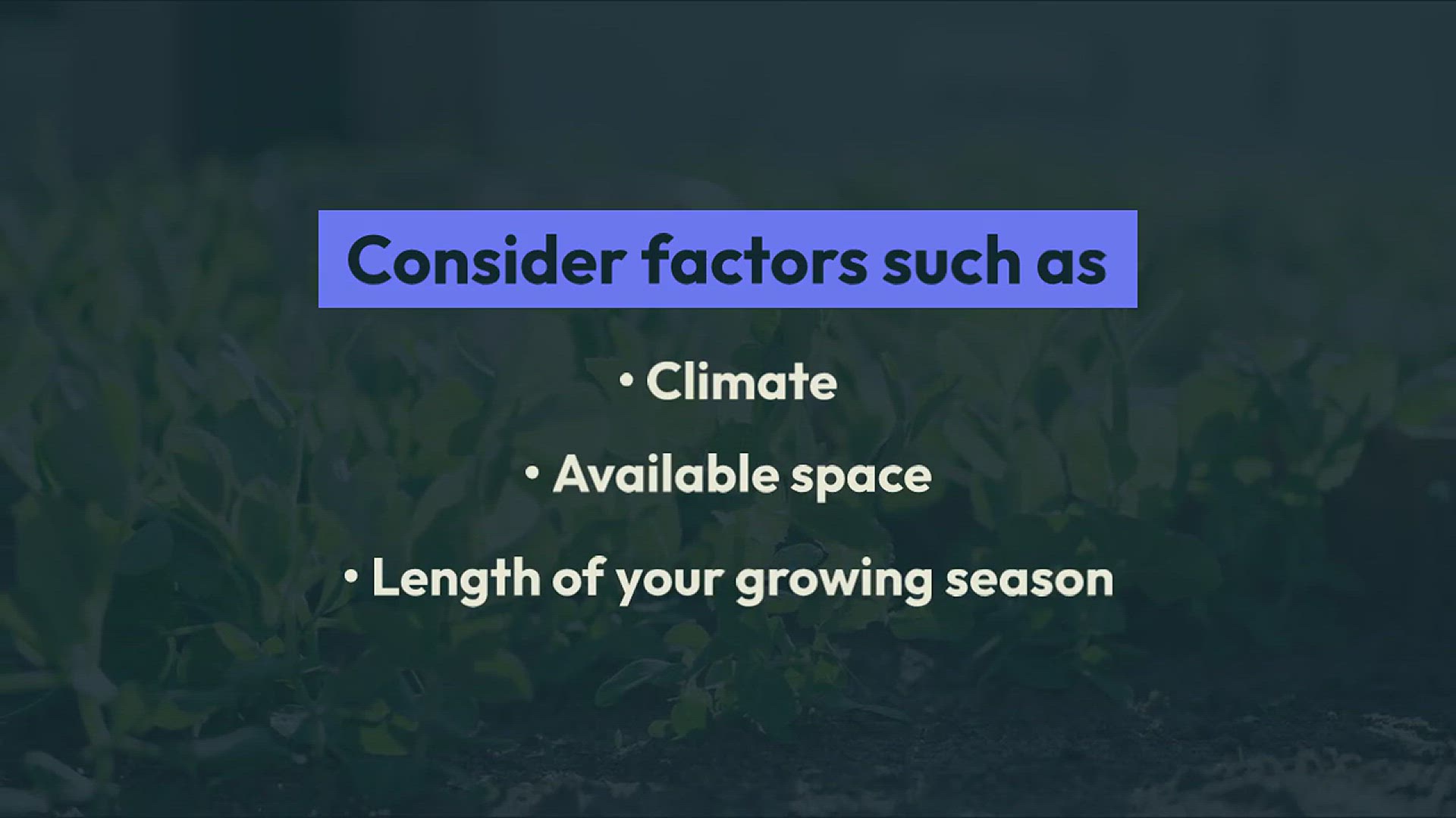 'Video thumbnail for Tips for Growing Broccoli in Your Backyard'