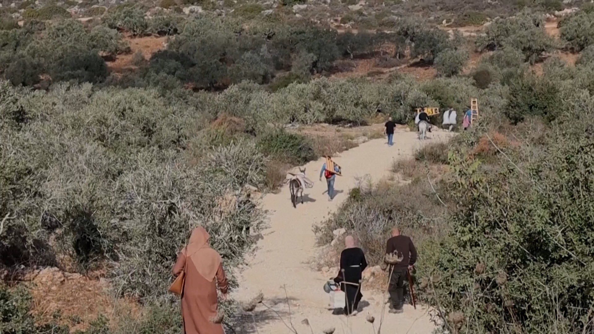 Video thumbnail for Rights groups condemn Israeli plan for ‘de facto annexation’ of West Bank
