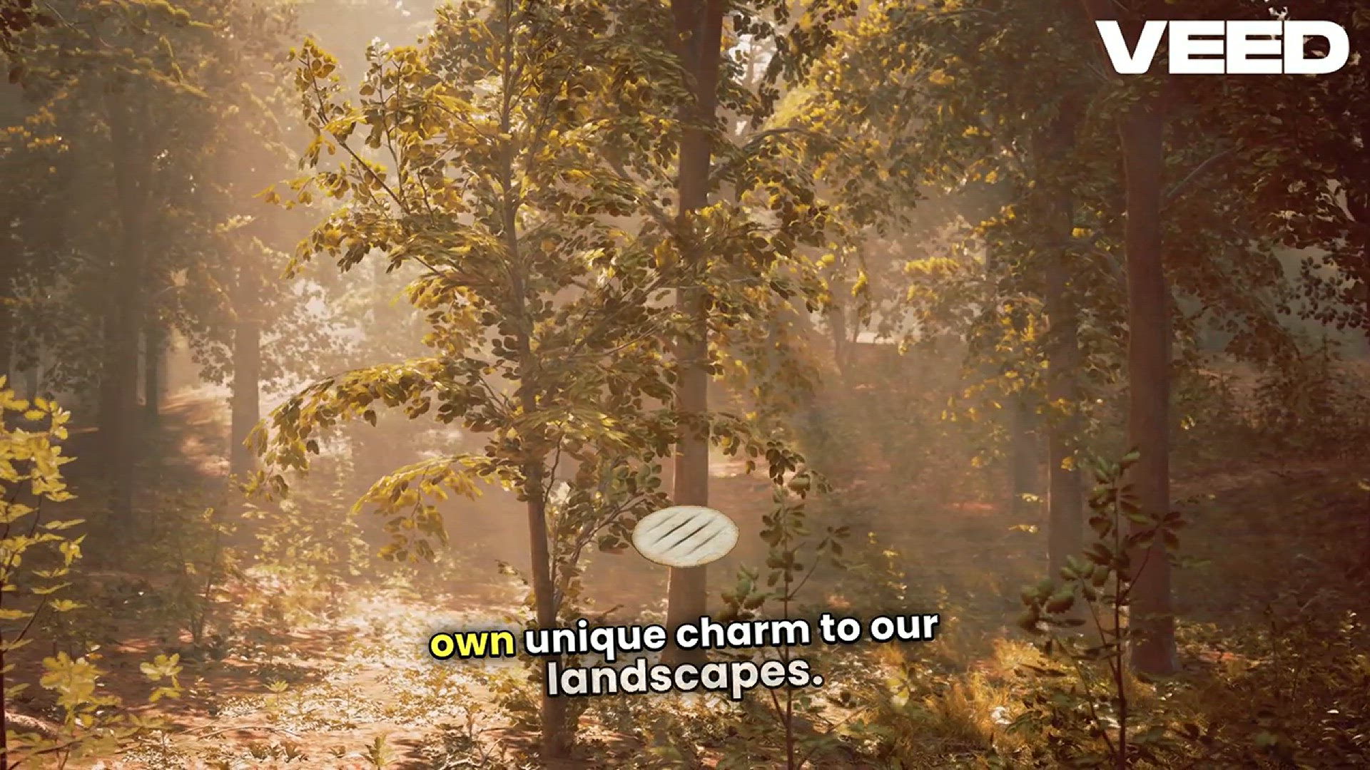 'Video thumbnail for Discover the Beauty of Trees'