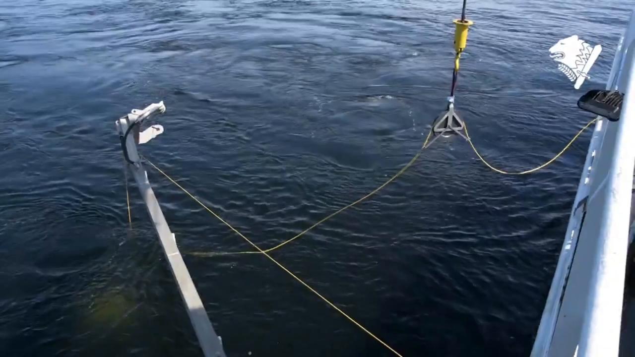 Video thumbnail for Finland: Finland tests DAS technology to detect threats to Baltic undersea cables.