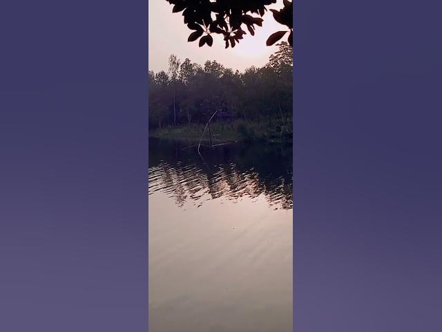 Video thumbnail for তামাই হুরা সাগর #bd #beautiful #rever