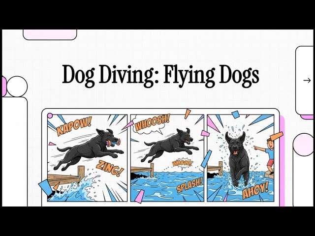 Video thumbnail for Dog Diving Sport: Meet The Flying Pups