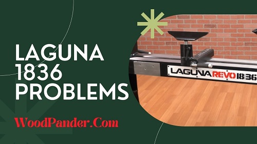 'Video thumbnail for Laguna 1836 Problems, Reasons & Solutions'