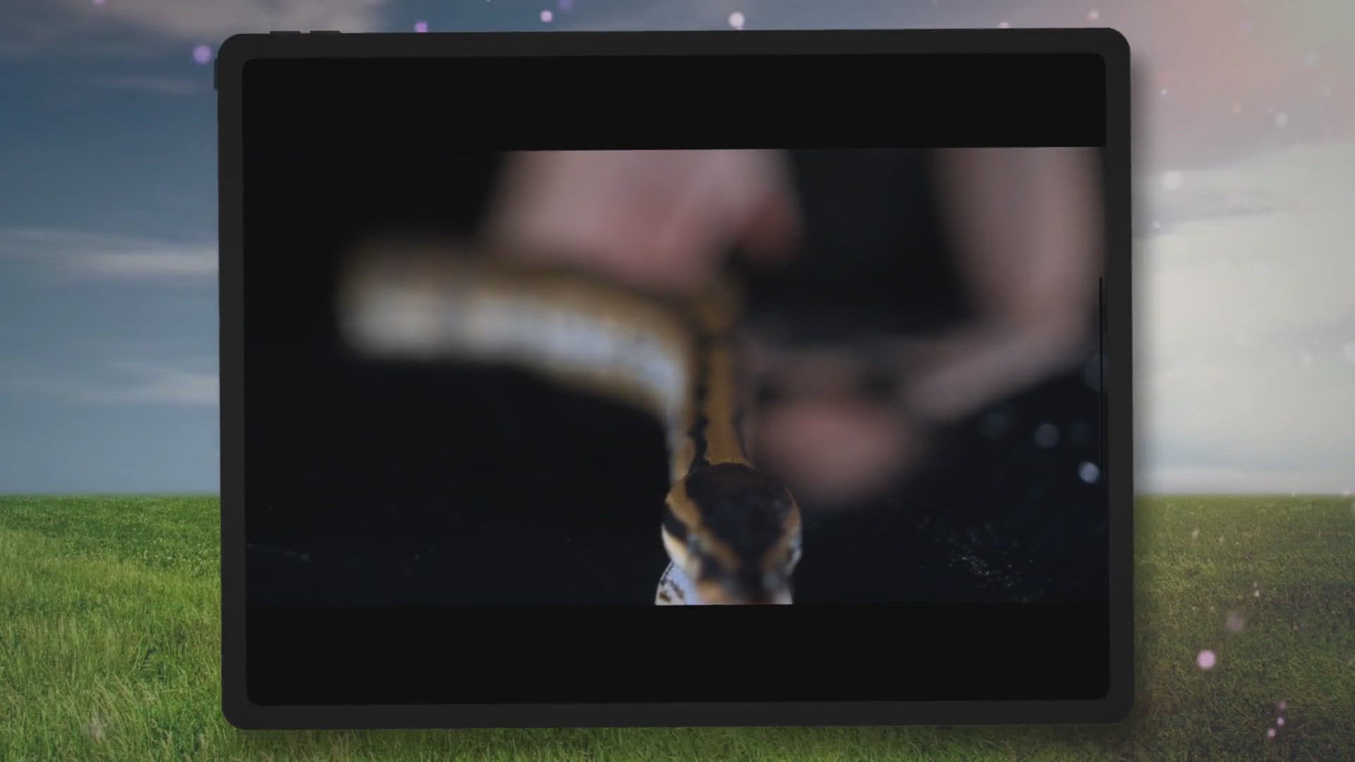 'Video thumbnail for Snake Repellent DIY Ideas'