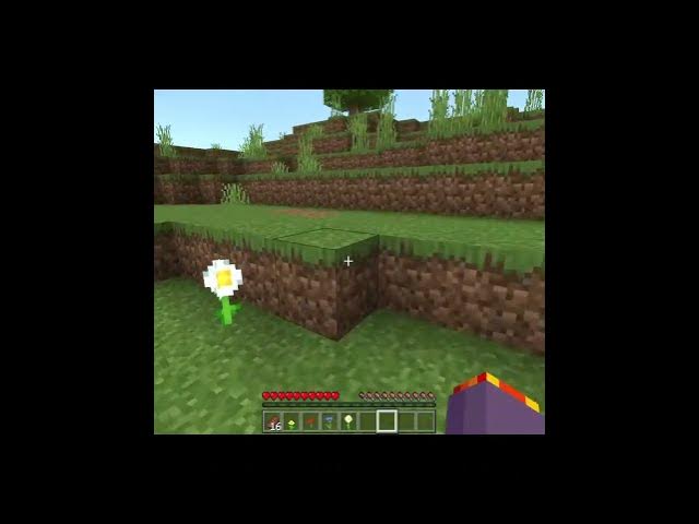 Video thumbnail for Things you can discard