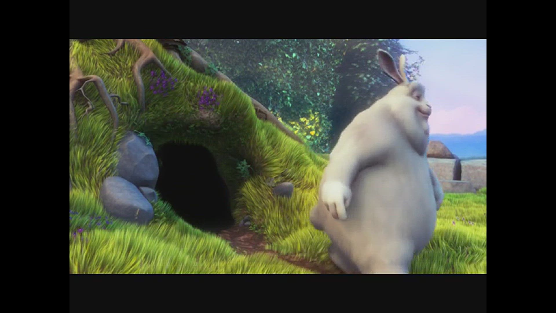 Video thumbnail for big_buck_bunny_480p_30mb