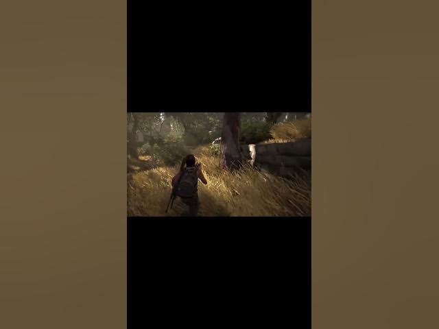 Video thumbnail for The Last of Us Part II Find Unexpected Glitch