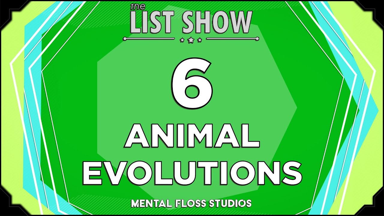 Video thumbnail for 6 Strange Animal Evolutions | Mental Floss