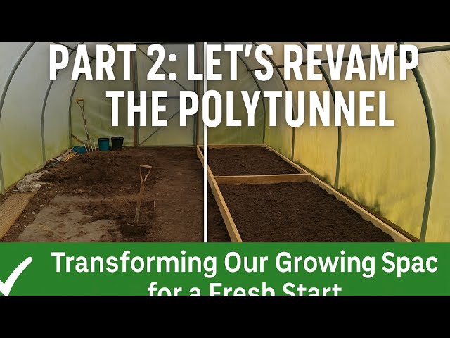 Video thumbnail for 🎥 ✅ 🌿 Part 2: Let’s Revamp the Polytunnel! 🌱 | Transforming Our Growing Space for a Fresh Start 🎧