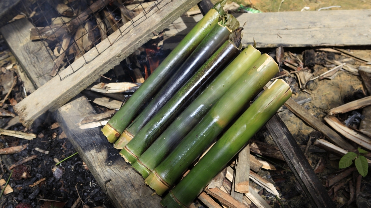 'Video thumbnail for Sungai Lemanak und Iban-BBQ | Borneo'