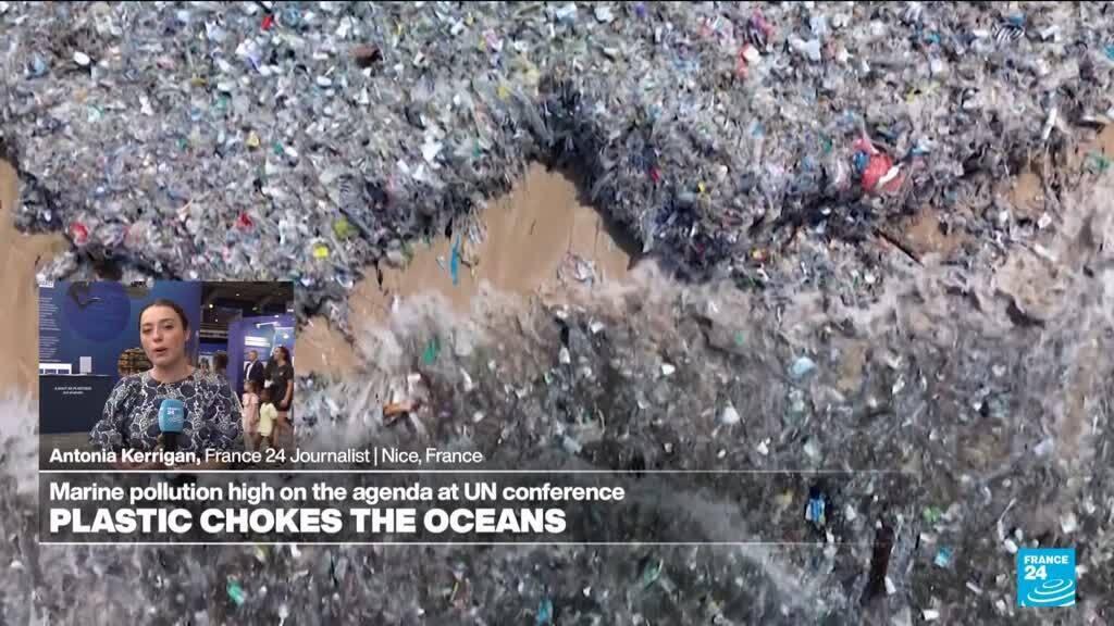 Video thumbnail for UN Oceans Summit: Marine pollution high on the agenda