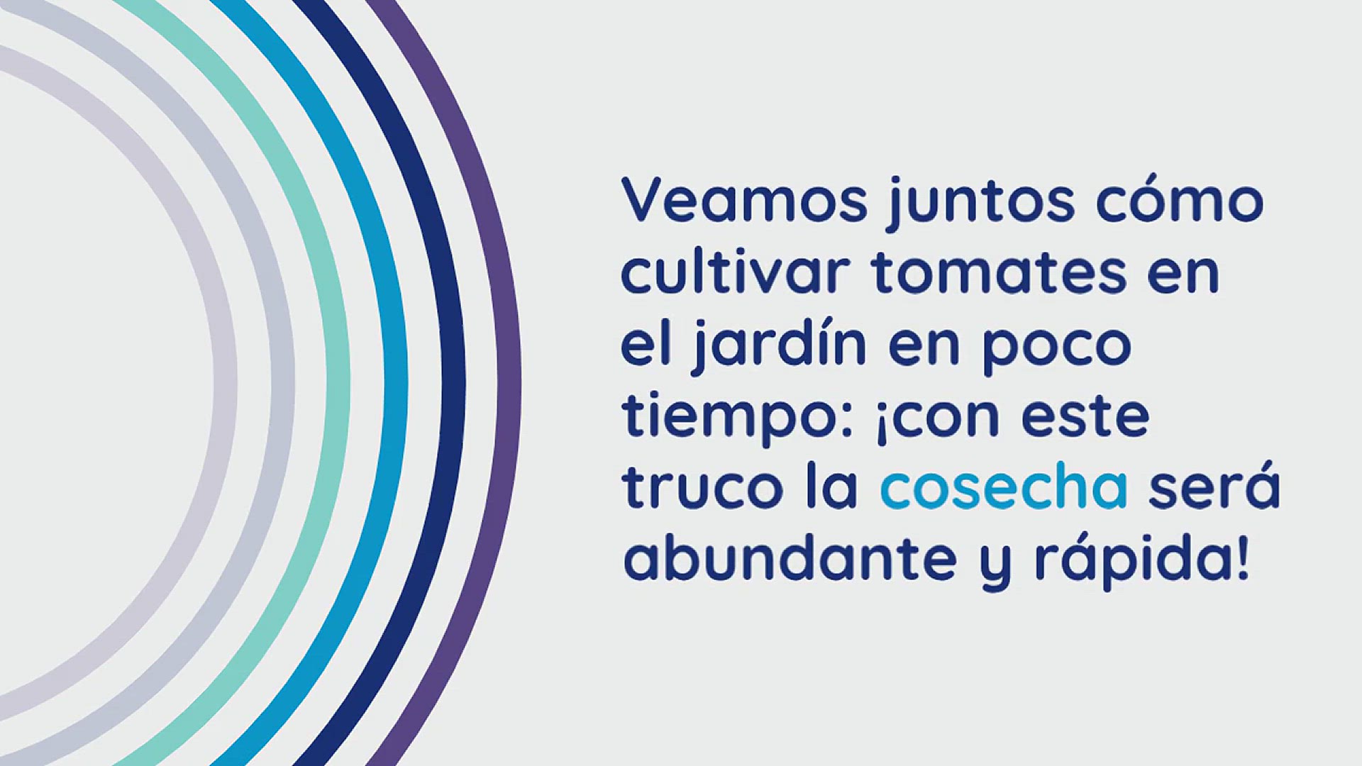 Video thumbnail for Huerto, solo entonces los tomates crecerán en un momento: cosecha temprana y abundante.