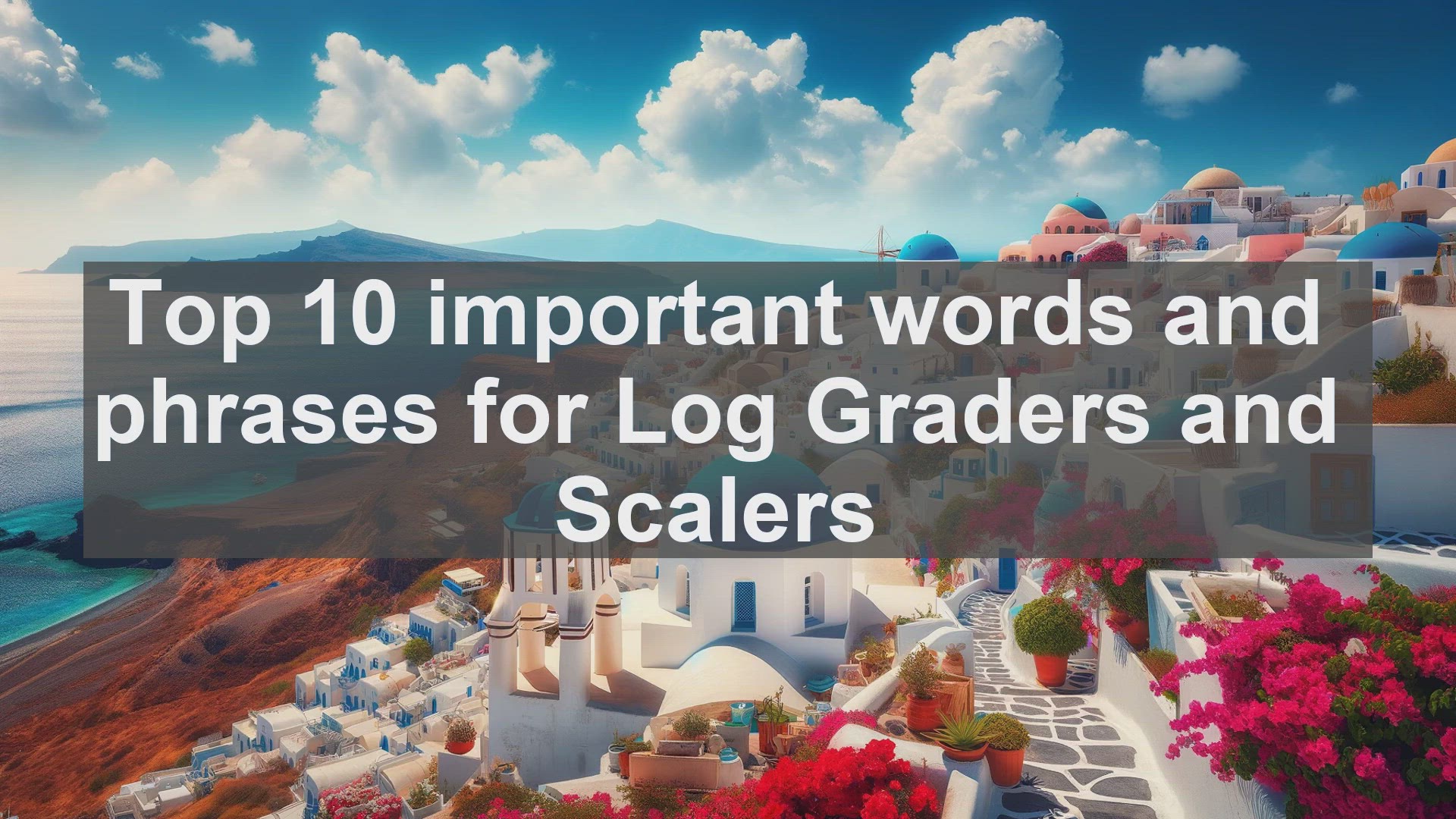 'Video thumbnail for Top 10 important words and phrases for Log Graders and Scalers'