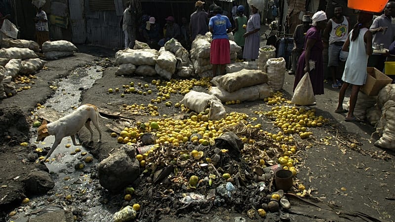 Video thumbnail for 6 million in Haiti face severe hunger amid violence, displacement and El Niño