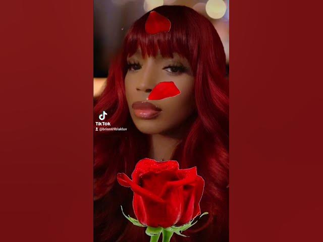 Video thumbnail for August 15, 2024