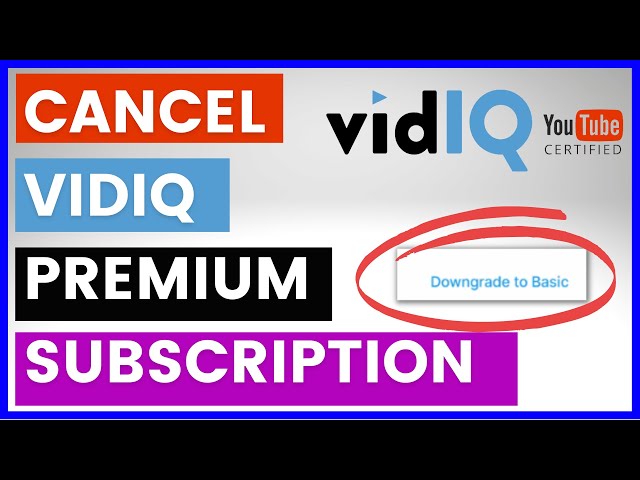 Video thumbnail for How To Cancel A VidIQ Subscription? [in 2025]