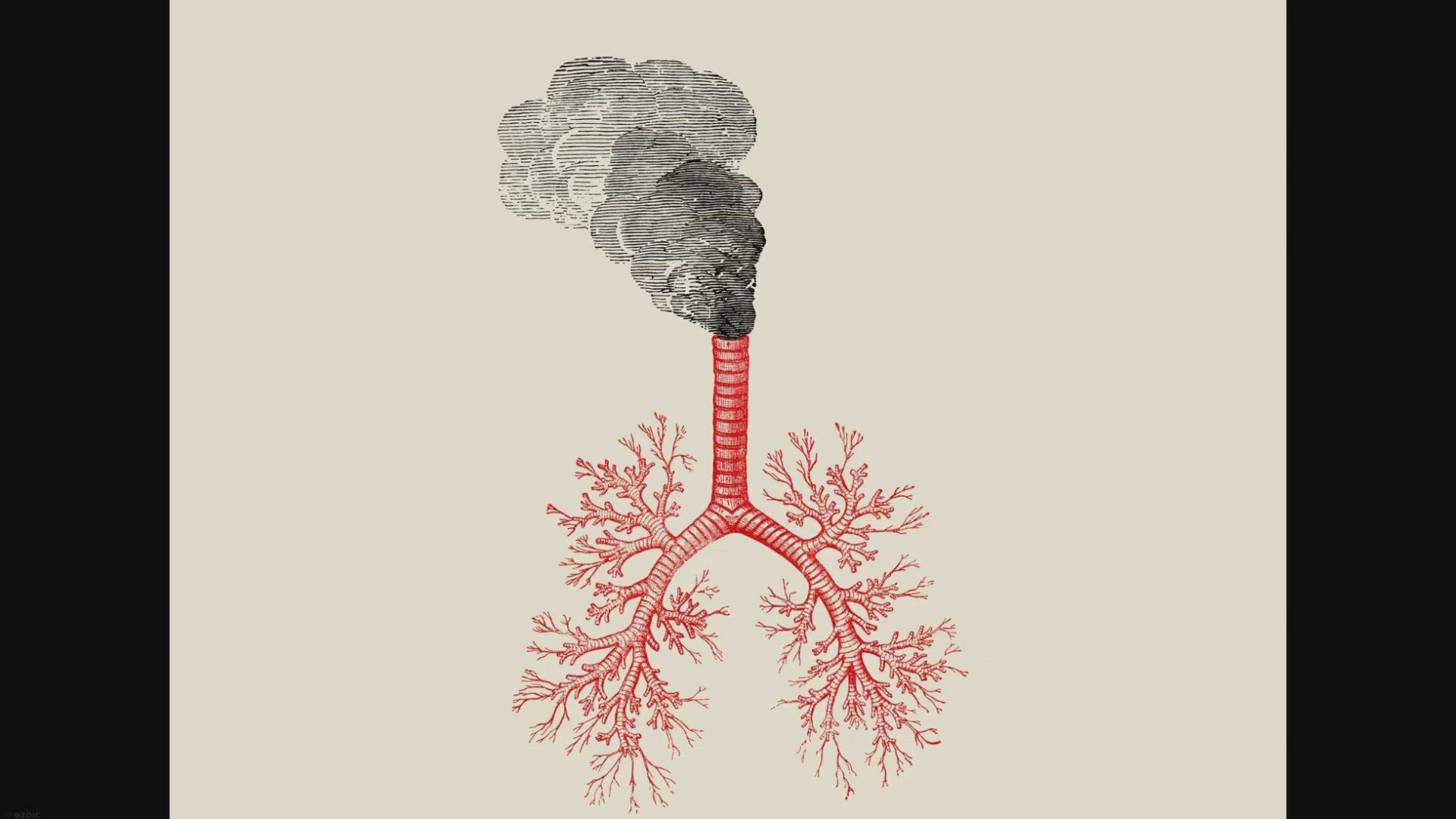 Video thumbnail for Top 15 Common Air Pollutants That Are Harming You