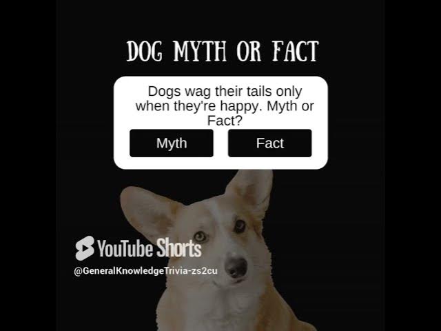 Video thumbnail for quiz10