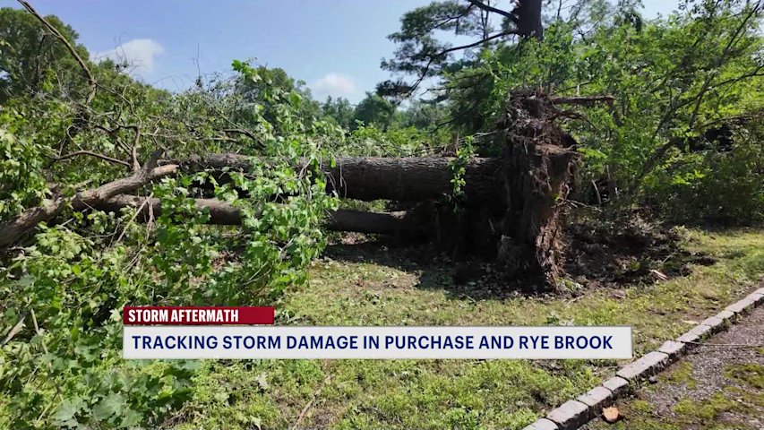 Video thumbnail for NWS confirms tornado in Westchester County