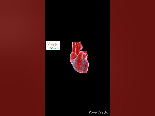 Video thumbnail for Lentils are so Nutritious,here's why!