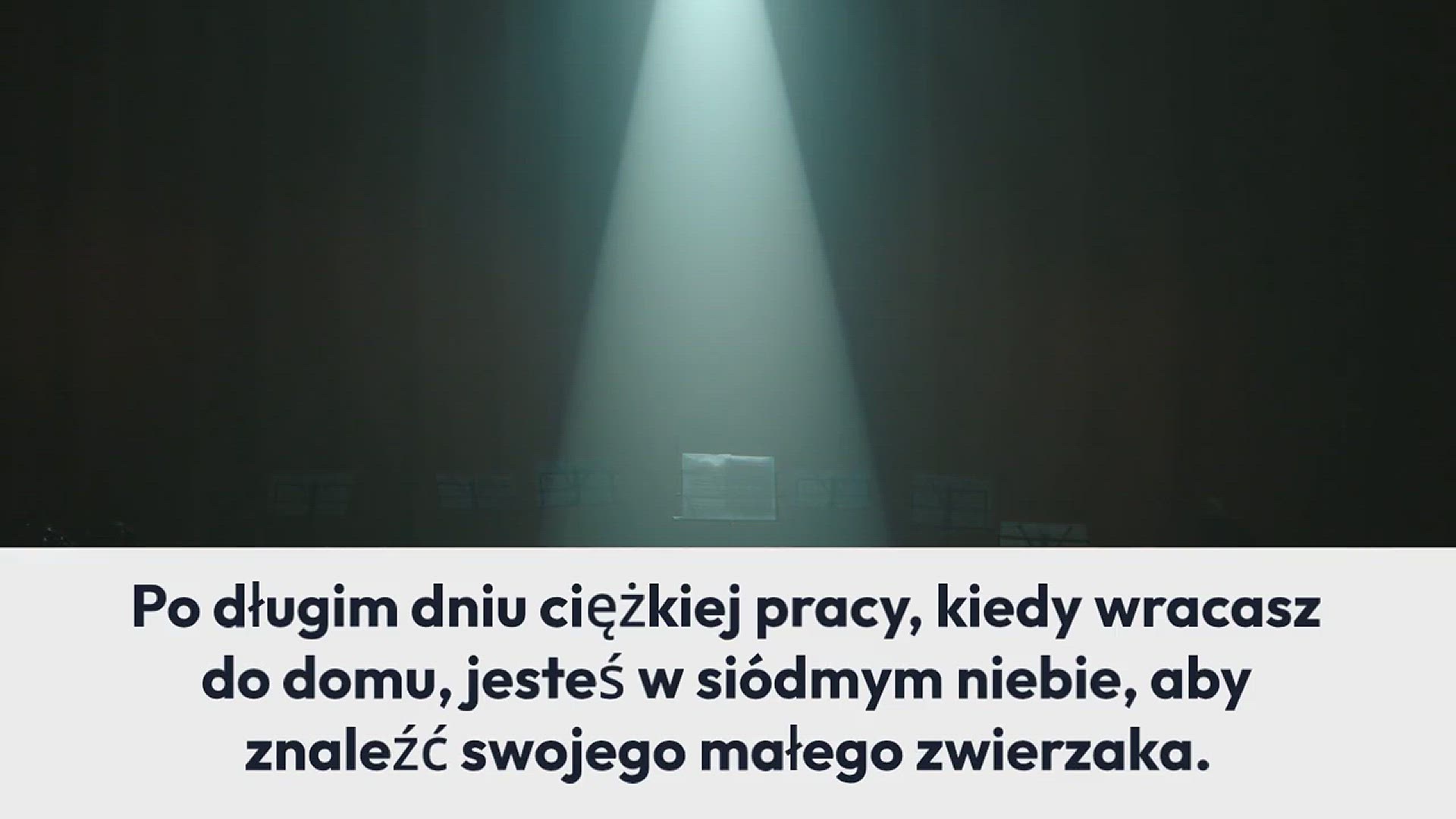 Video thumbnail for Oto jak usunąć zapach moczu kota i psa z materacy, sof, dywanów i ubrań