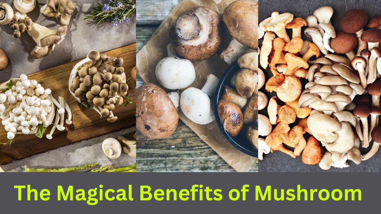 Video thumbnail for The Magical Benefits of Mushroom || #health #mashroom