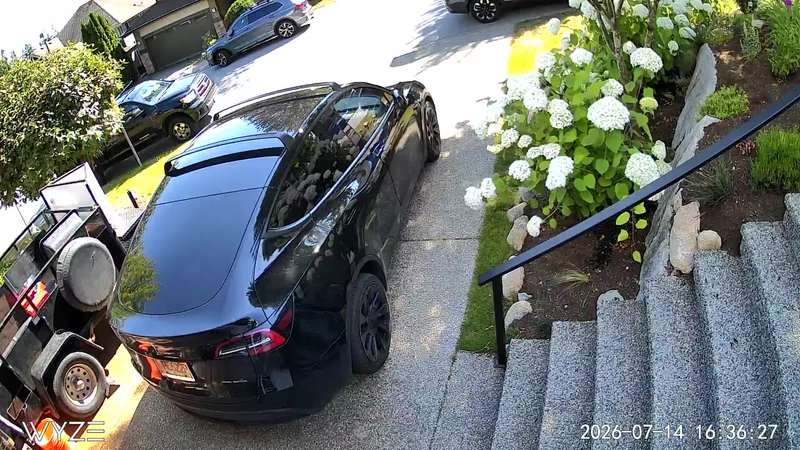Video thumbnail for Bear Sneaks up behind Unaware Delivery Driver