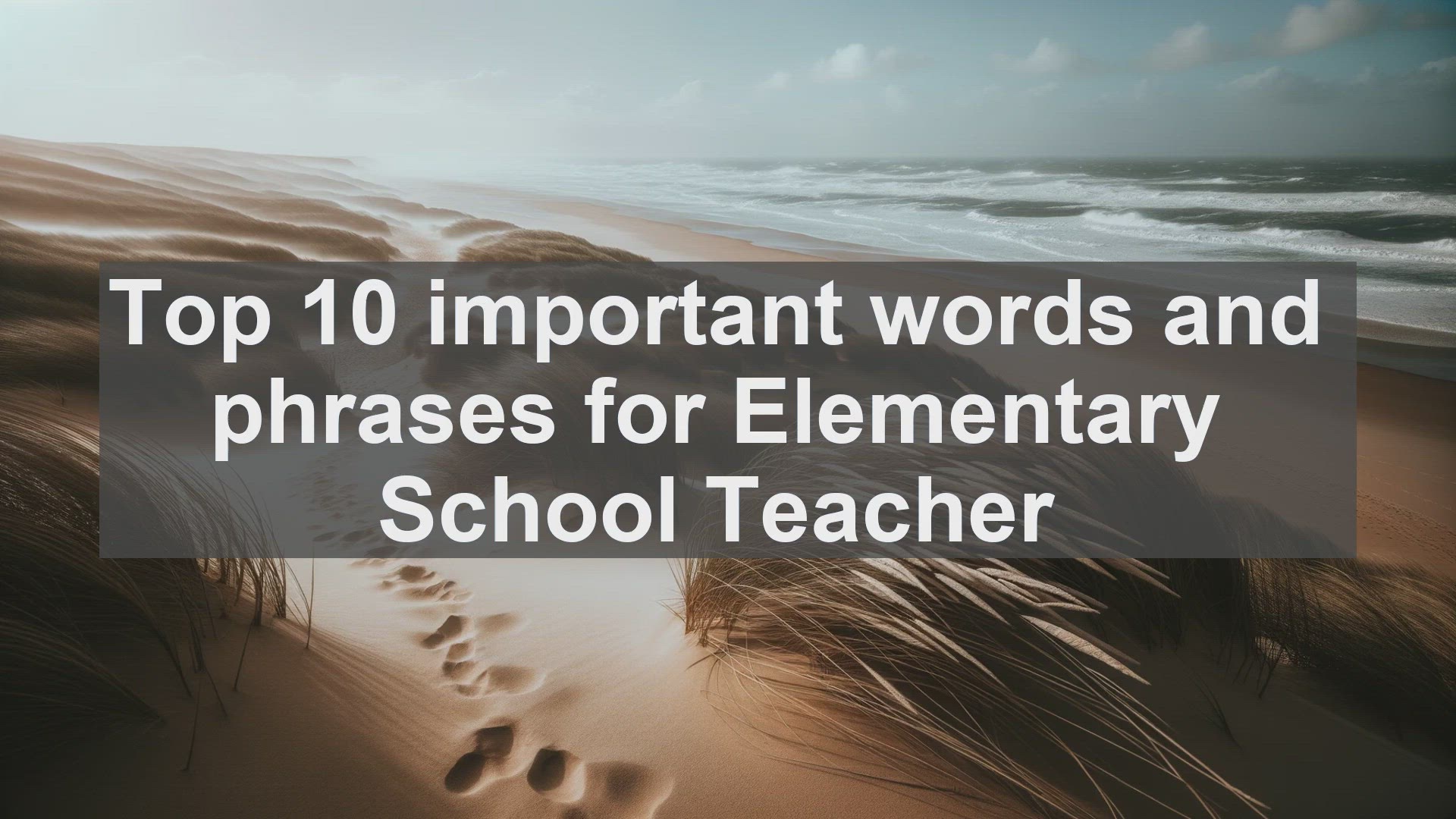'Video thumbnail for Top 10 important words and phrases for Elementary School Teacher'