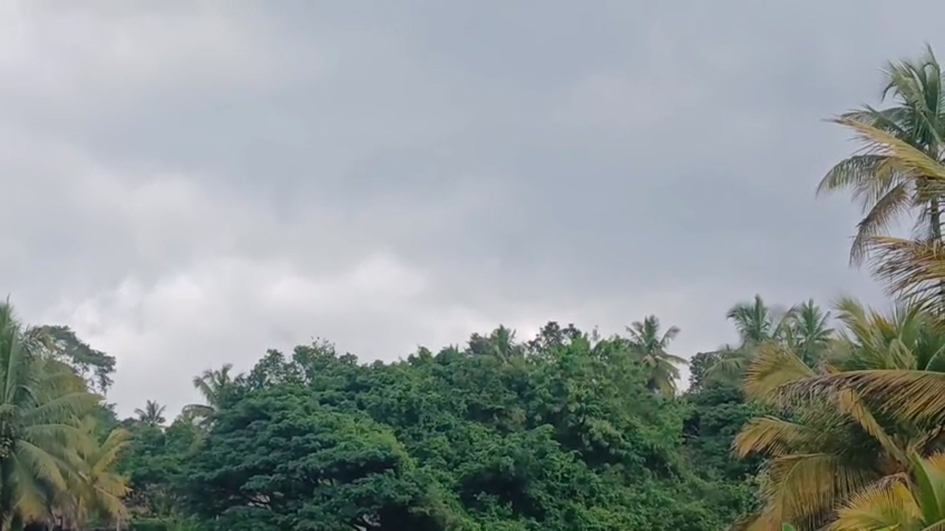 Video thumbnail for “Village Roads, Paddy Fields & Pure Happiness”