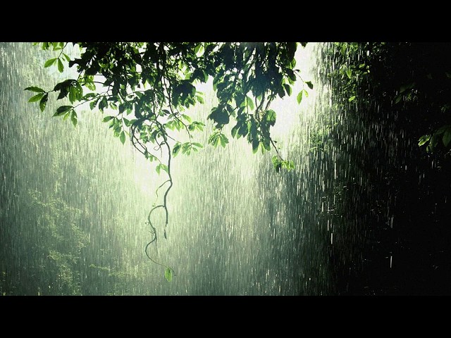 Video thumbnail for Jara Brishtite Bhijechilo (যারা বৃষ্টিতে ভিজেছিলো- কুড়ি)- Joy Goswami