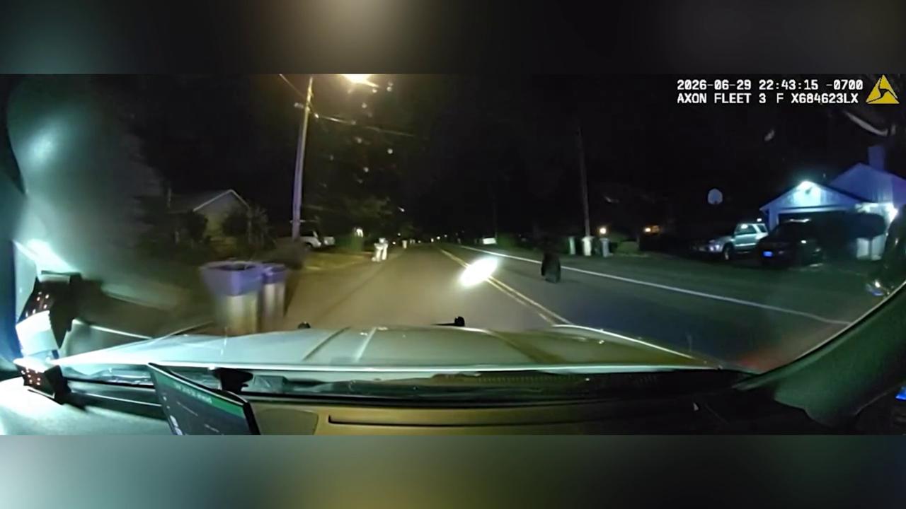 Video thumbnail for US: Young Black Bear Roams Oregon City Streets Before Deputies Guide It To Safety.