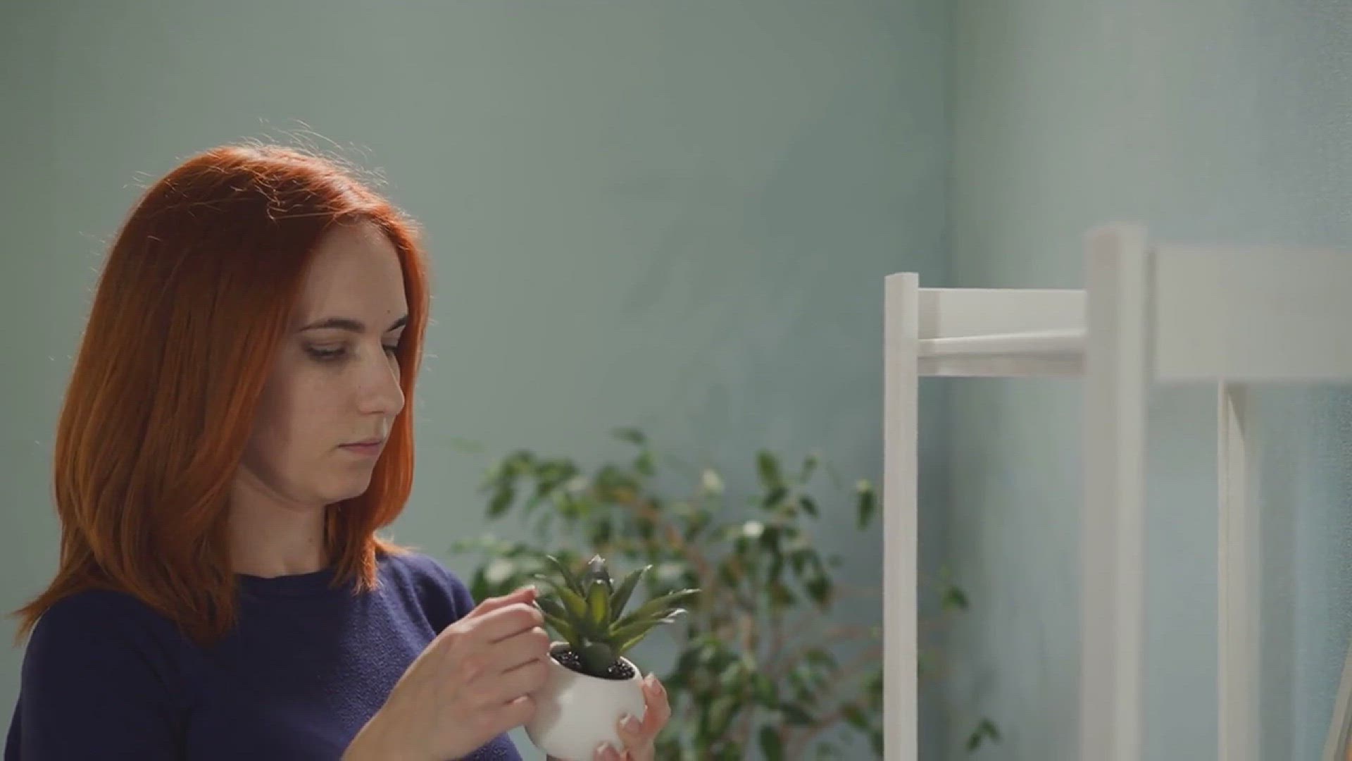 'Video thumbnail for Best Indoor Plants for Oxygen'