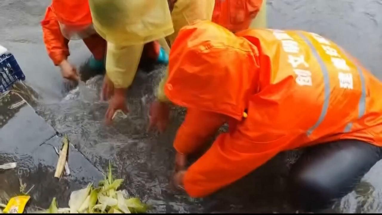 Video thumbnail for China: Rescue efforts carried as heavy rain lashes northeast China city.