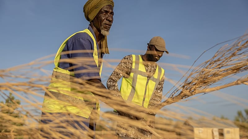 Video thumbnail for Malian refugees turn to firefighting to give back to their communities in Mauritania