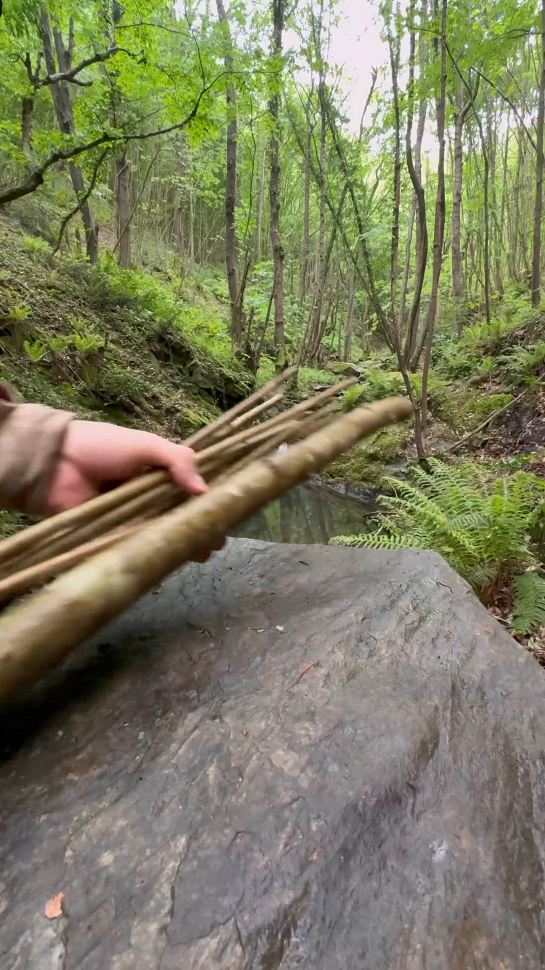 Video thumbnail for Cooking Chicken on a wood grill