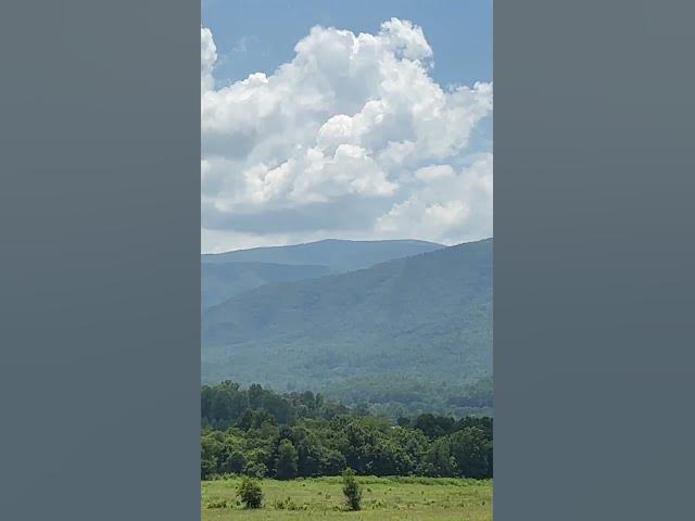 Video thumbnail for Beautiful Drive in Cades Cove   #smokymountains #pigeonforge #cadescove