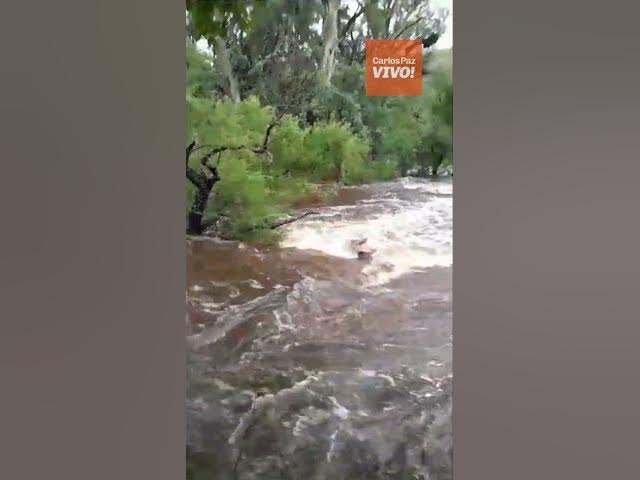 Video thumbnail for Así creció el arroyo de Tanti este lunes