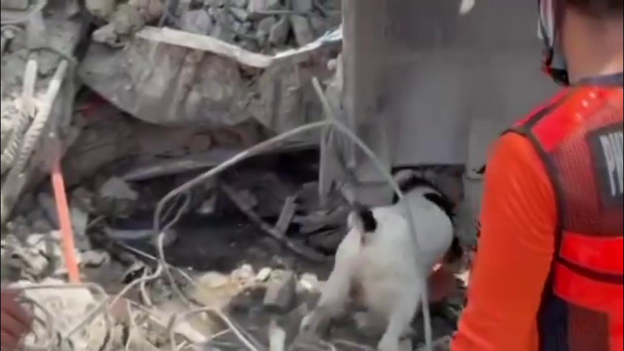 Video thumbnail for Philippines: Four Bodies Recovered From Collapsed Angeles City Building After K9 Guided Search Operation.
