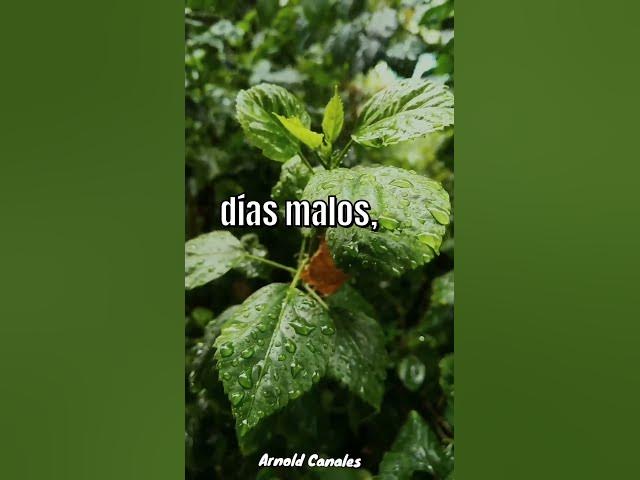 Video thumbnail for Dios está en todo tiempo #jesus #viral #reels