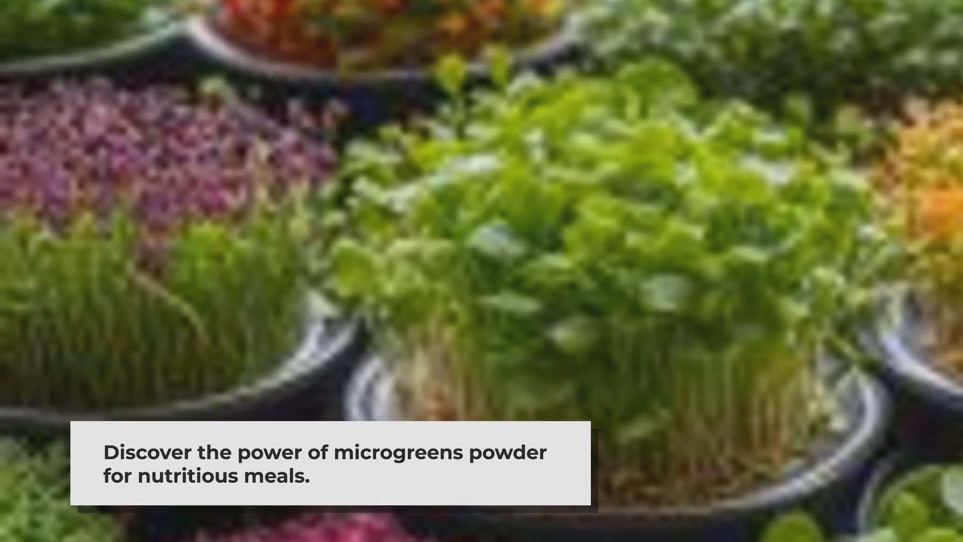 Video thumbnail for Boost Your Meals with Microgreens Powder: Easy Tips & Recipes