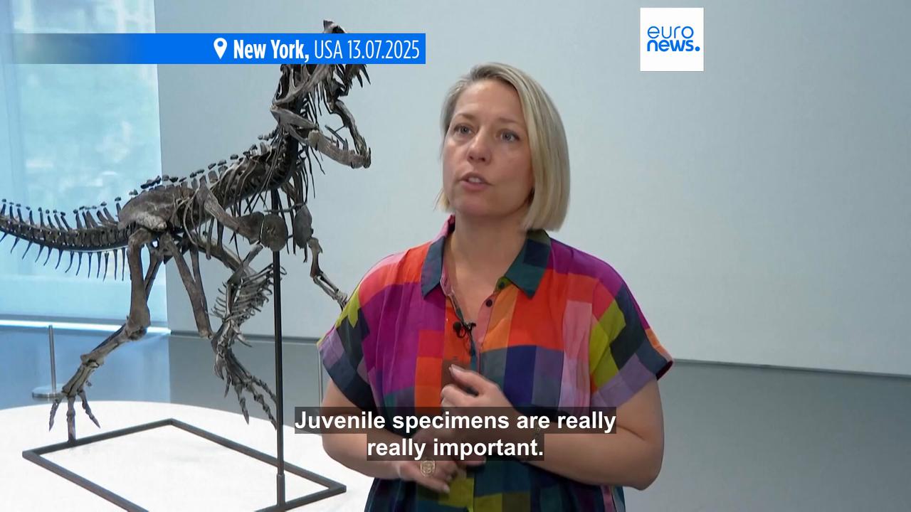 'Video thumbnail for The biggest piece of Mars on Earth is being auctioned off in New York'