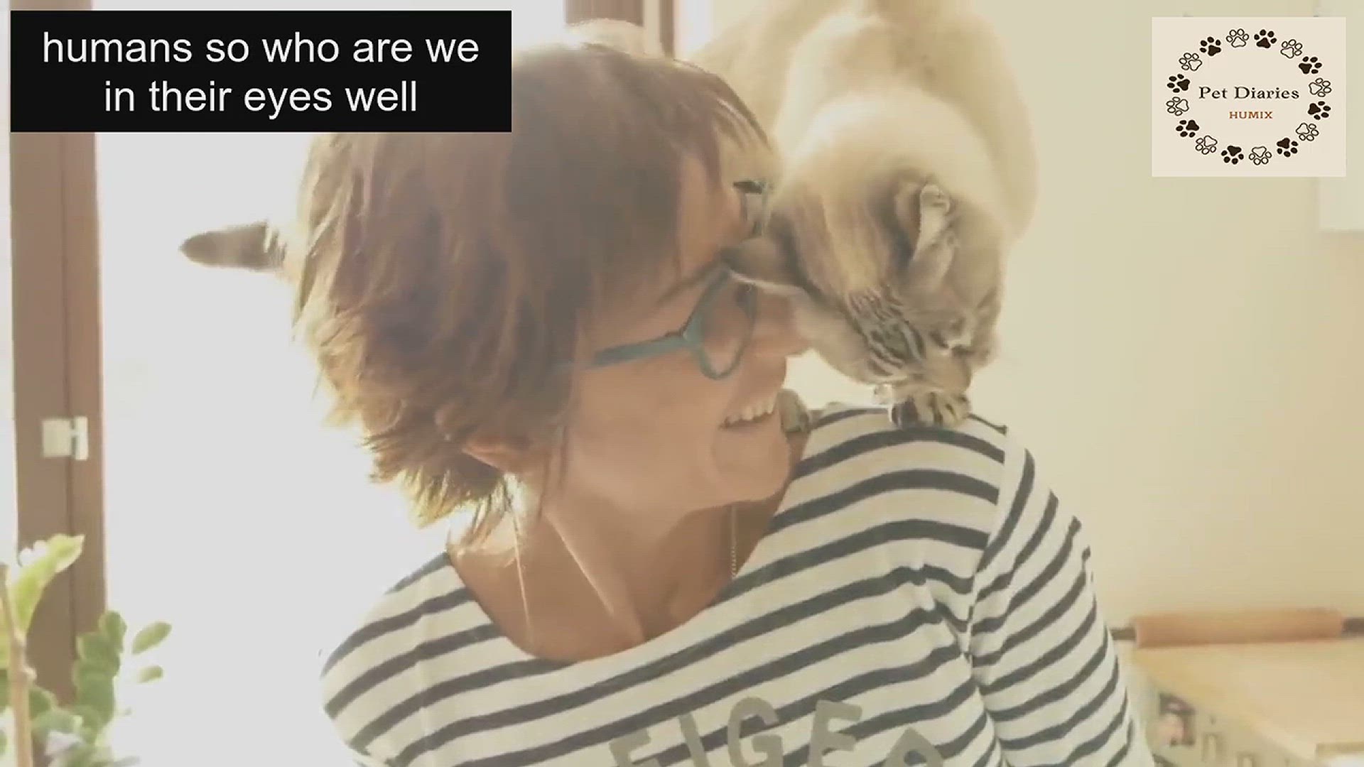 'Video thumbnail for Learn More aBout Cat Imprinting Signs'
