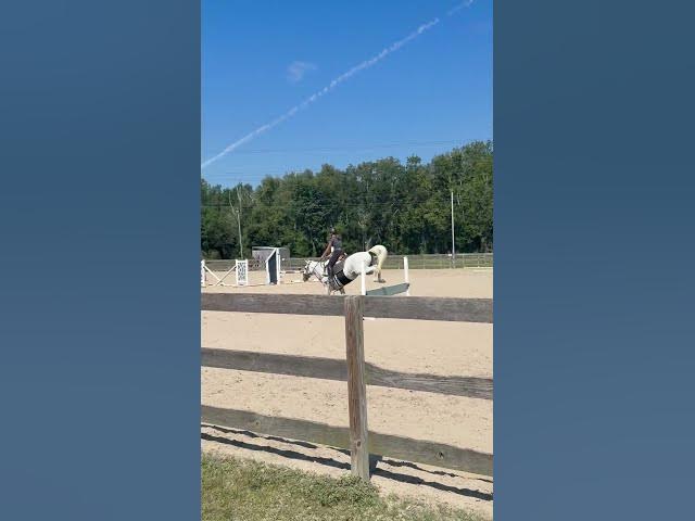 Video thumbnail for rawww #horse