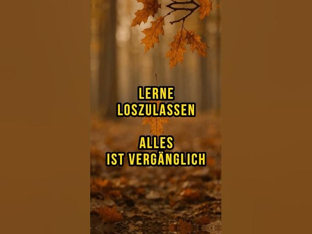 Video thumbnail for Wie du innere Ruhe findest – mit stoischer Klarheit #stoizismus