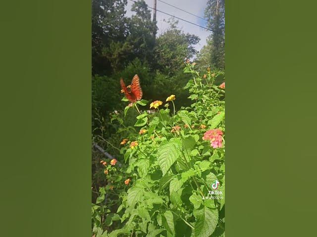 Video thumbnail for September 20, 2025