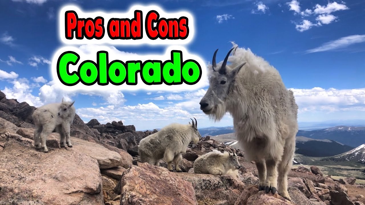 Video thumbnail for What Does and Doesn't Suck About Living in Colorado.