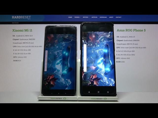 Video thumbnail for Wild Life Bench Xiaomi Mi 11 vs ASUS ROG Phone 5 – Benchmark Test | Performance Checkup