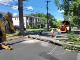 Video thumbnail for Cleanup underway across New Jersey after powerful storm topples trees and knocks out power