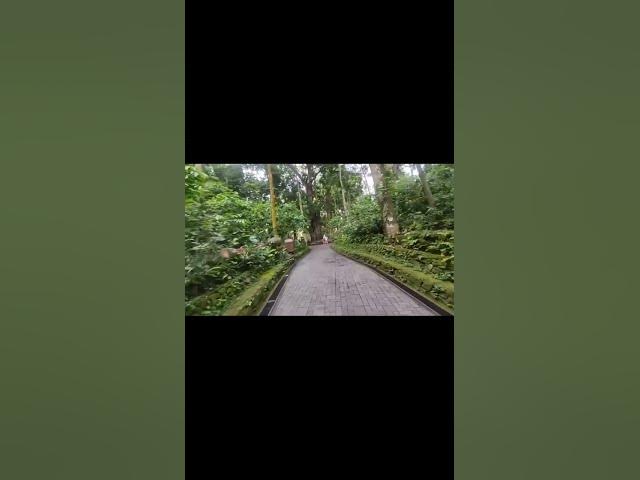 Video thumbnail for 📋 Forest Information Board — Conservation & History of Sacred Monkey Forest