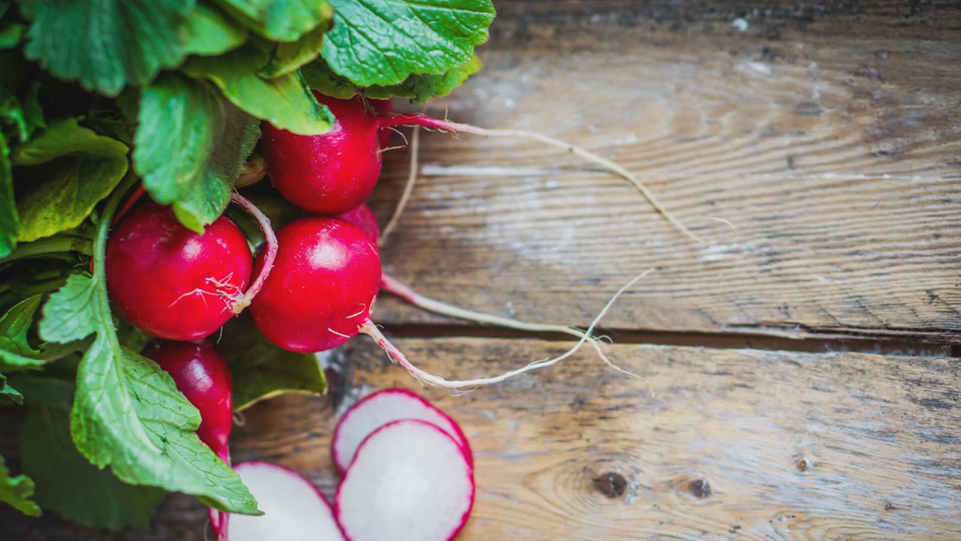 'Video thumbnail for How to Grow Radishes in the Garden'